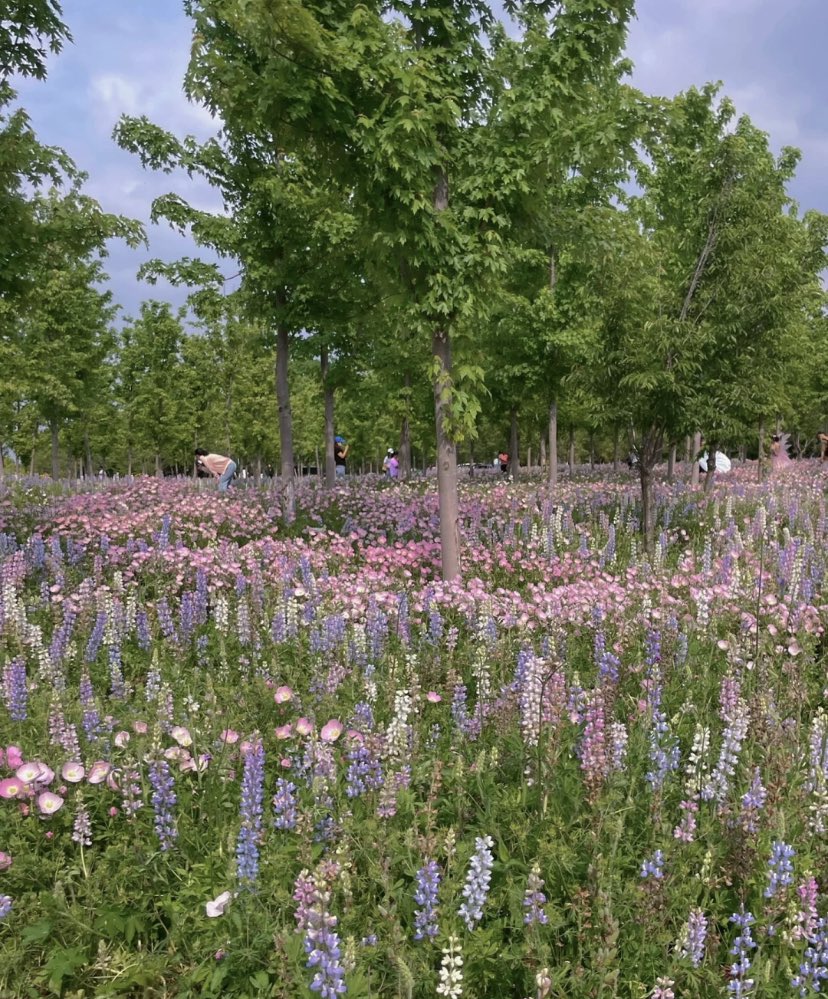 for the flower people