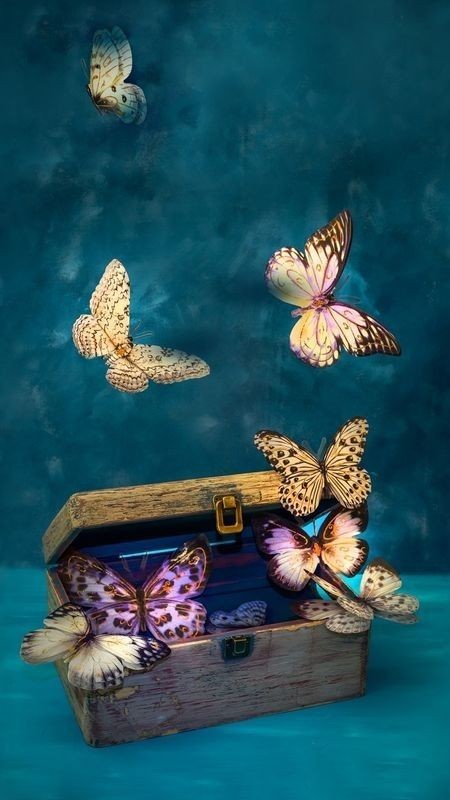 🌿🌿

جميلةٌ أنت

للحد الذي يجعلك مؤهلة

لقيادة سرباً كاملاً من الفراشات .

🌿🌿