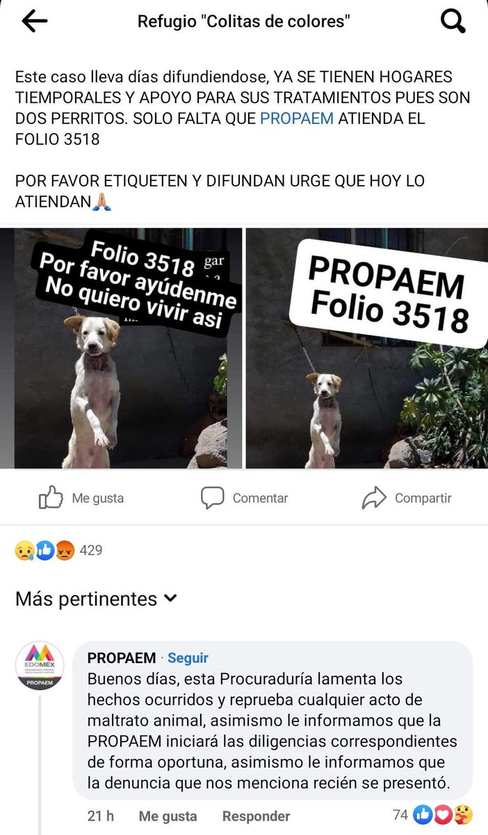 Oigan <a href="/propaem_sma/">PROPAEM</a>, el perro sigue ahí, ya le tenemos casa pero uds no han ido