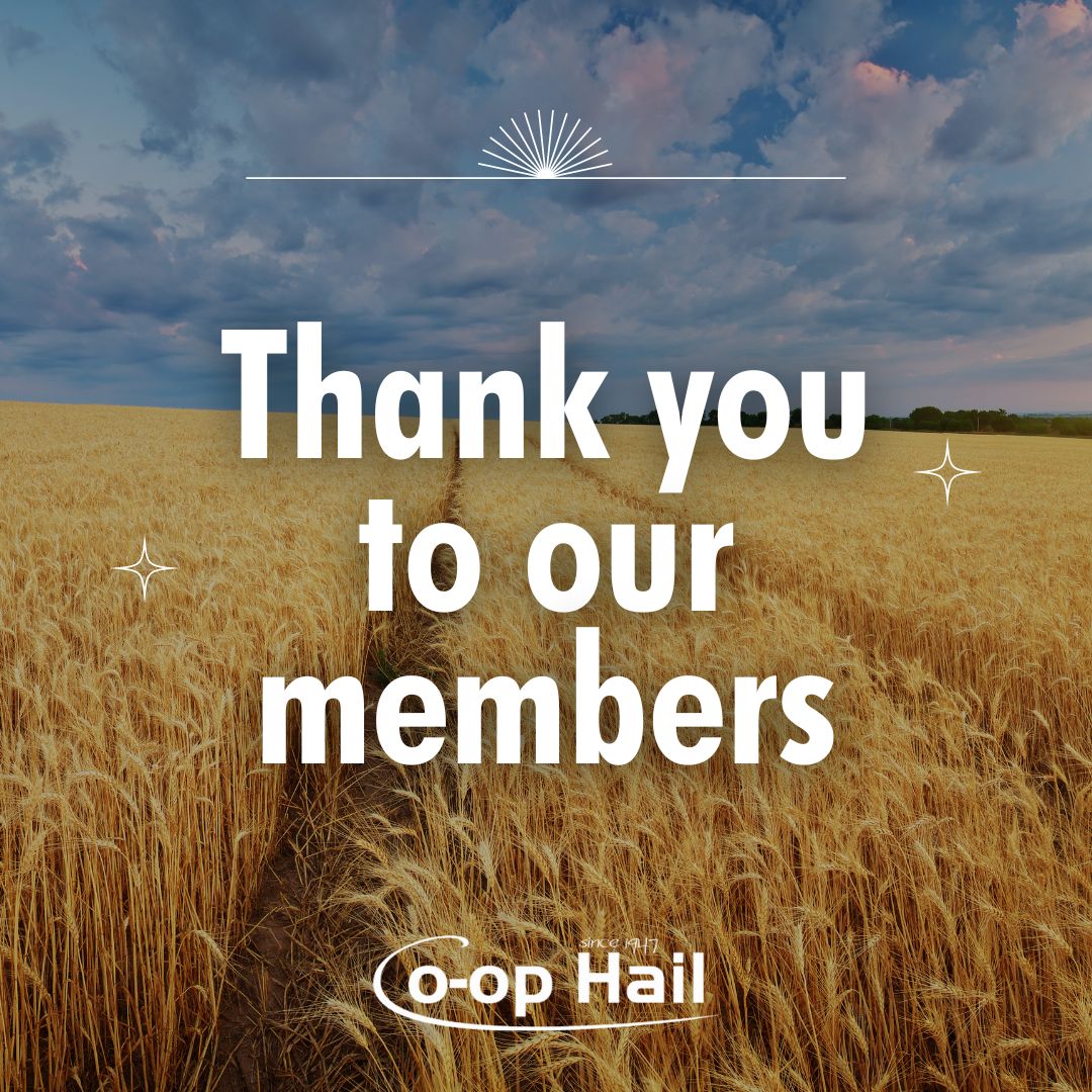 coophail's tweet photo. Wishing all our customers a thriving growing season with Coop Hail by your side. Thank you for choosing us as your crop hail insurance provider in 2023. 🌾💚 https://t.co/aUzOZrS8E9