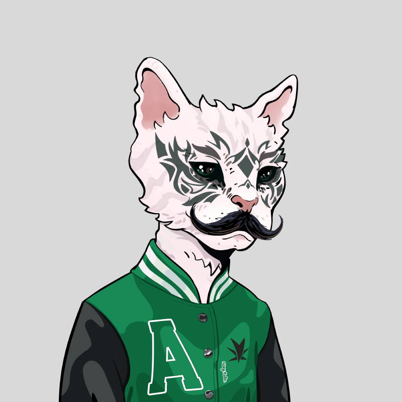 Taylor Wade tweet media