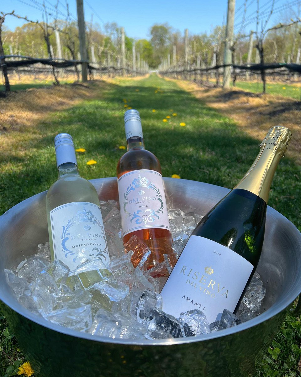 Every good weekend includes wine, and we think you'll love Del Vino Vineyards. They honor traditional methods while still pursuing innovation and improvement. Check out their wine list here:
bit.ly/3yuTRTe

📷: @delvinovineyards