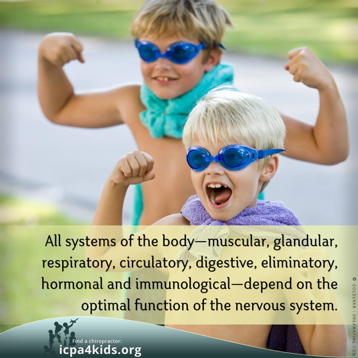 DrJuergensClark's tweet photo. The nervous system is made up of nerve cells and fibers that transmit nerve impulses between parts of the body! 

#JuergensChiropractic #pediatrics #pregnancy #pain #wellness #prevention #acupuncture #graston #webster #nutrition #palmer #activator #BEST #chiropractor #adjustment https://t.co/UYBT2ES8ja