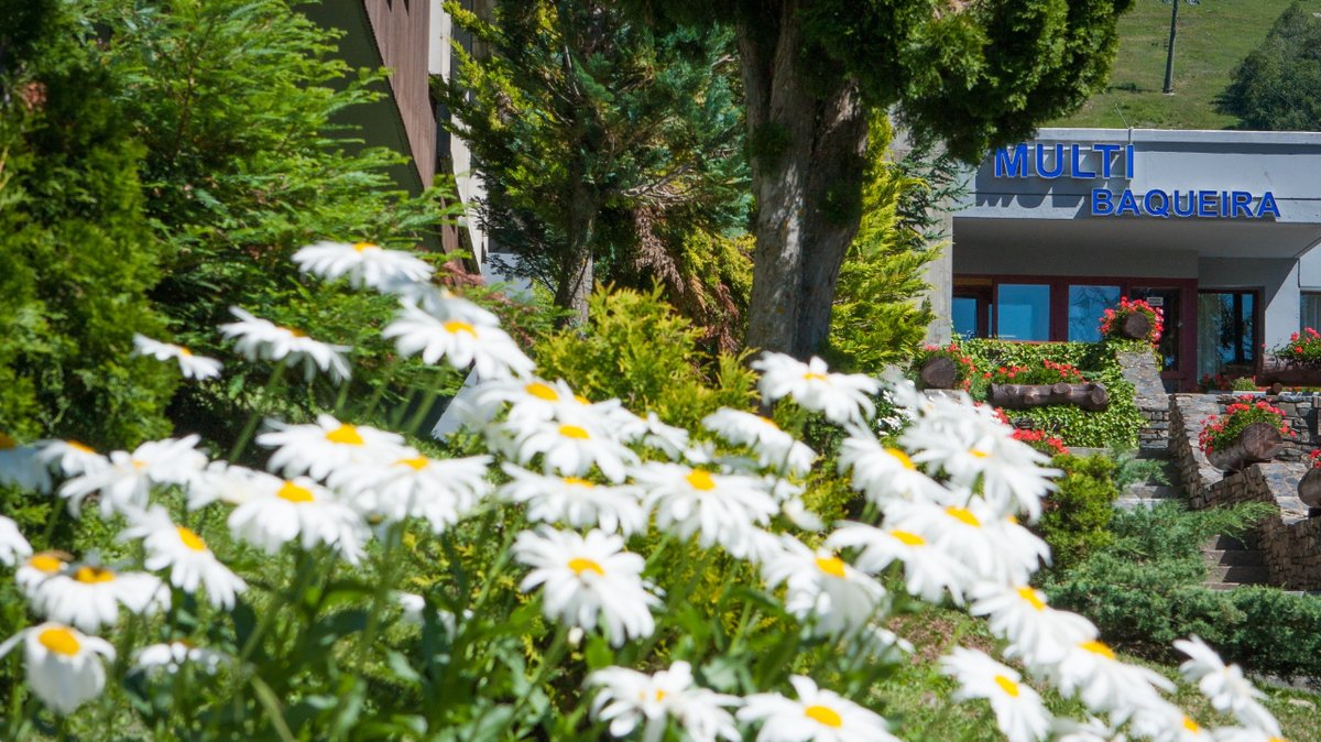 Multi_Baqueira's tweet photo. ¡El verano ha llegado a los apartamentos #Multibaqueira! 🌞 Mañana, 1 de julio, empezamos la temporada.

Reserva ahora y prepárate para disfrutar al máximo de unas vacaciones en nuestros apartamentos en #Baqueira #ValdAran https://t.co/lu2HdFkela https://t.co/ZIE5giqnb2