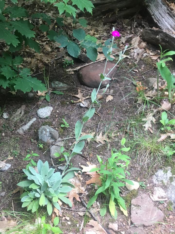 Je Banach tweet media