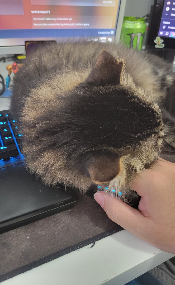 Schmooples 🙀Poet Vtuber tweet media