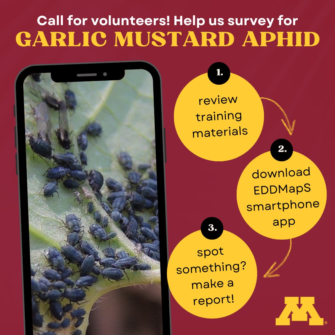 MyMinnesotaWoods tweet media