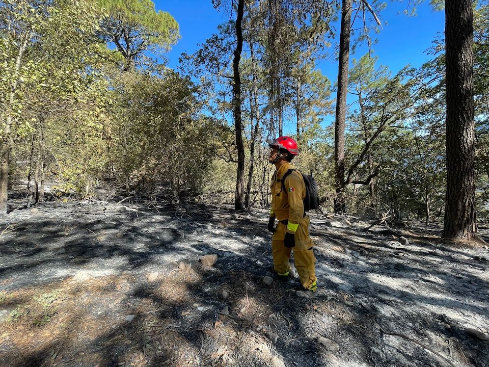 info7mty's tweet photo. Protección Civil de Nuevo León informó que ya está controlado el incendio en El Pajonal, en la sierra de Santa Catarina, el cual consumió 1,700 hectáreas.
➡️ https://t.co/3zM9IotGVk
#INFO7 #NuevoLeón #incendio #sierra #ElPajonal https://t.co/lim4HWxkWW