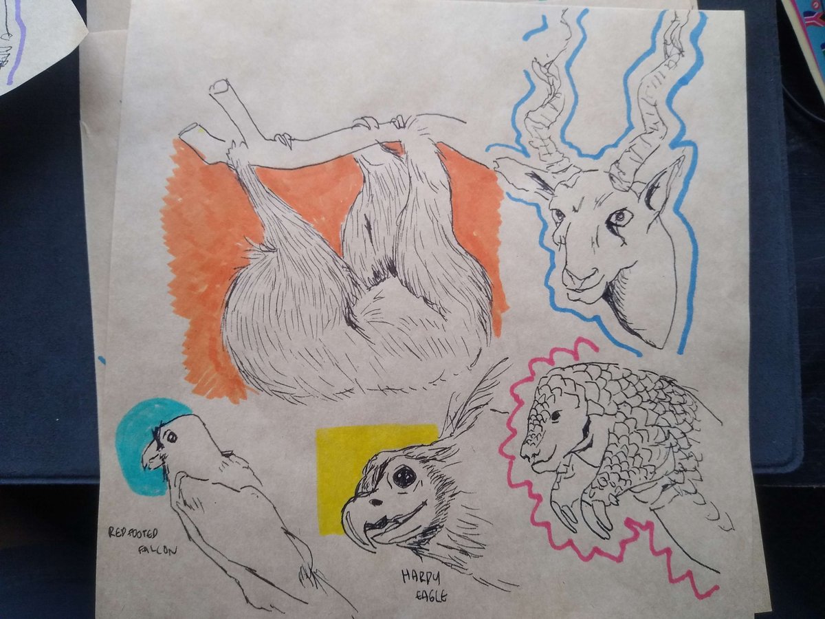 DandelionManage's tweet photo. Drawings I did at the @HornimanMuseum ! #art #artistsontwitter #traditionalart https://t.co/pdeng9K64S