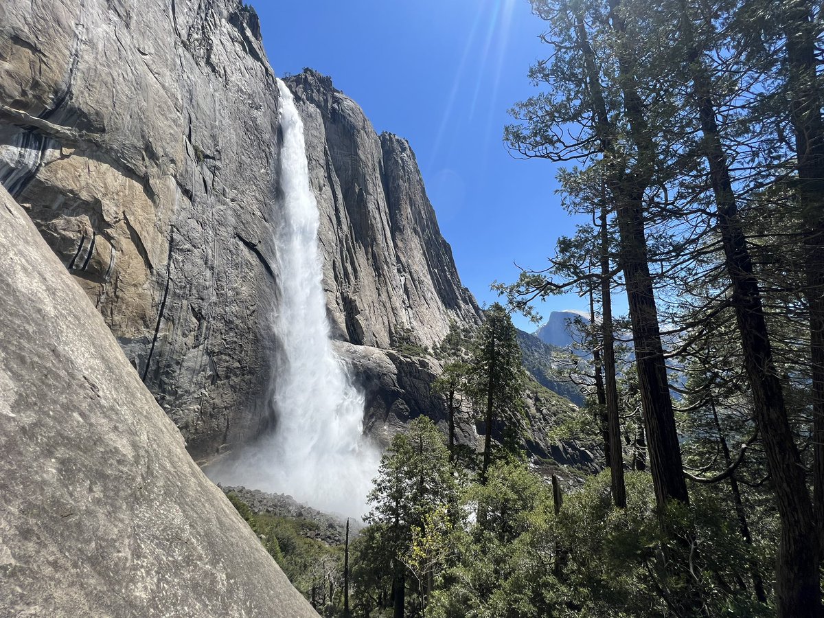 El_Ahuizotl's tweet photo. Greetings and happy Friday from beautiful Yosemite National Park! #Yosemite #rareportrait #Nature #California https://t.co/MGqMV2od5L