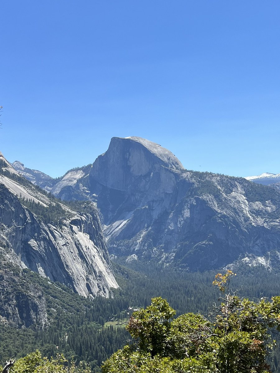 El_Ahuizotl's tweet photo. Greetings and happy Friday from beautiful Yosemite National Park! #Yosemite #rareportrait #Nature #California https://t.co/MGqMV2od5L