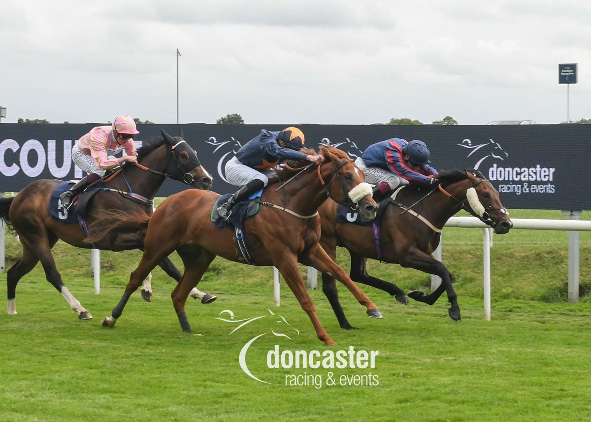 DoncasterRaces's tweet photo. RACE 1 RESULT – @SkySportsRacing HD Virgin 519 Restricted Novice Stakes
🥇 Intergalacticat
Jockey: @oismurphy
Trainer: @james_fanshawe
📷: @nigekirby
#DoncasterRaces | #LARUB40 https://t.co/QamAza91c9