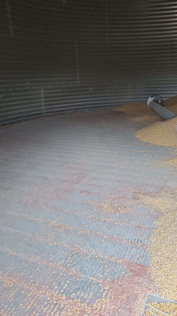 Jon Blydorp tweet media