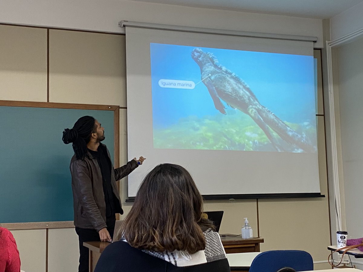 jimmyocles's tweet photo. Acabo de dar un seminario sobre las Islas Galápagos en mi maestría.

Hablando con orgullo de mi Ecuador en Brasil. 🇪🇨✊🏾🇧🇷✨
P.D. (Quedaron enamorados 🌳🐢🦑🦭🐦🐦‍⬛🐋🐠🌊🏝️) 

- ¿Ustedes ya conocen las Galápagos? https://t.co/hyWAwgL71V