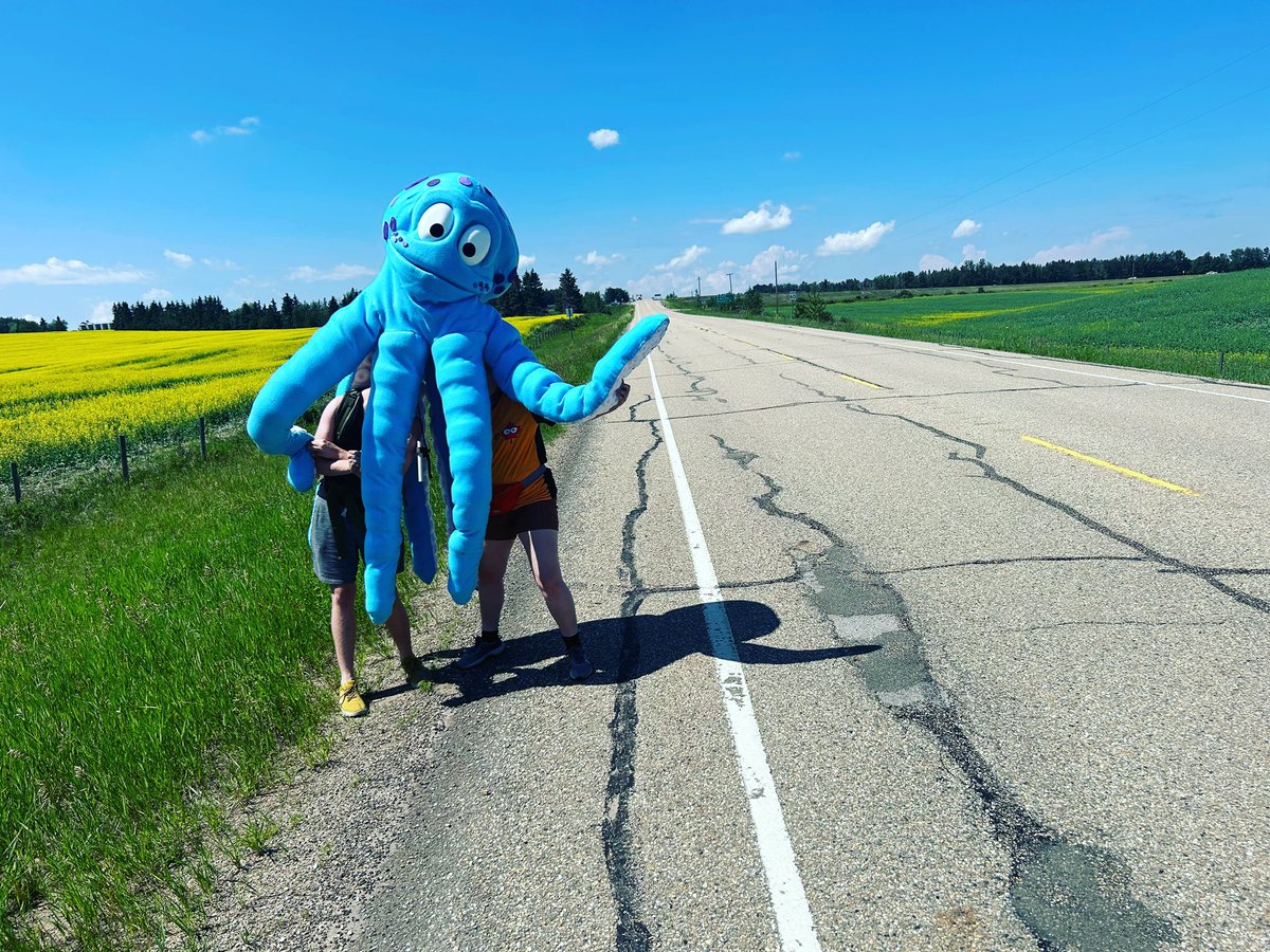 Puppet Stuff Canada (@puppetstuff_ca) on Twitter photo Orsen the octopus is on his way to <a href="/CityofStAlbert/">City of St Albert</a> to join in the July 1st festivities tomorrow! 🐙🐠 Orsen the octopus is on his way to <a href="/CityofStAlbert/">City of St Albert</a> to join in the July 1st festivities tomorrow! 🐙🐠