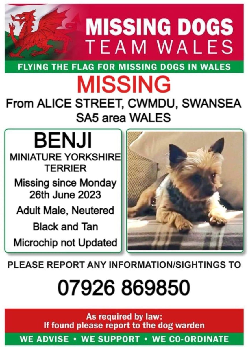 rosiedoc666's tweet photo. ‼️DO NOT CHASE PLS‼️
SIGHTINGS ONLY
BENJI #MISSING FROM #CWMDU #SWANSEA #SA5
26/6/23 Last seen behind #Kwikfit area around 5.30pm
PLS DONT ATTEMPT TO CATCH HIM
CALL THE NUMBER ASAP TY
https://t.co/ZMyDsR226C
@farmersarmsBB @CwmduAllotments @sjfarr123 @juliagarland73 @bs2510 https://t.co/7UKlhbZZLd