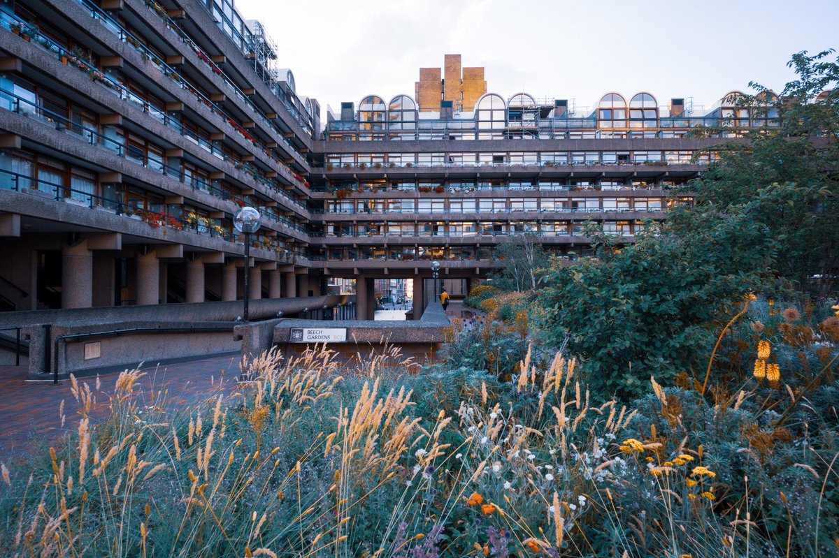 MGBatzee tweet media