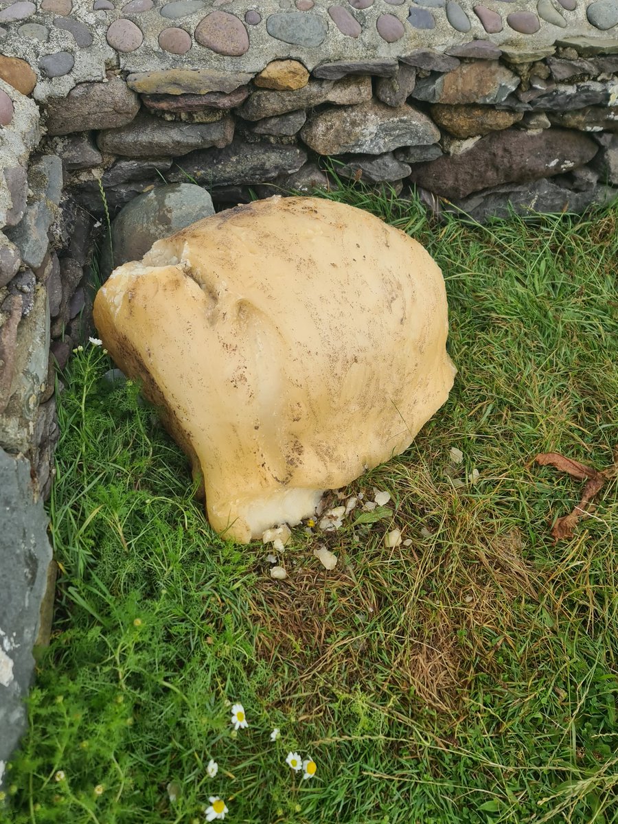 ammustard1's tweet photo. Cad é seo ar Thrá Chlochar? @SlaineNi 
#Farraigefìán #cosuilleblocsaill https://t.co/ZiEGrjEwUT