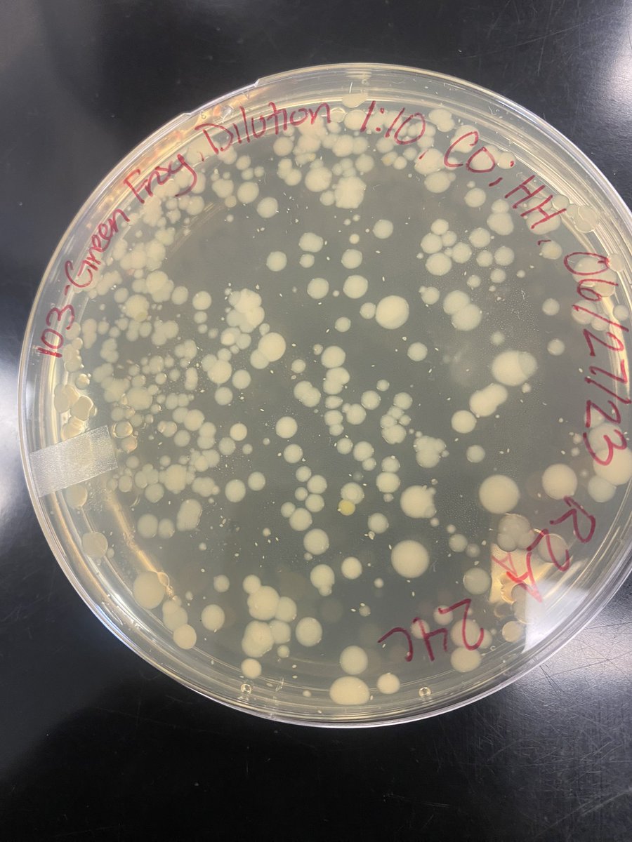 We have completed week 1 of Gene Team, and the students have been hard at work! It’s been a great start to a very interesting project from the <a href="/RZ_Lab/">RZ Amphibian Lab</a>!