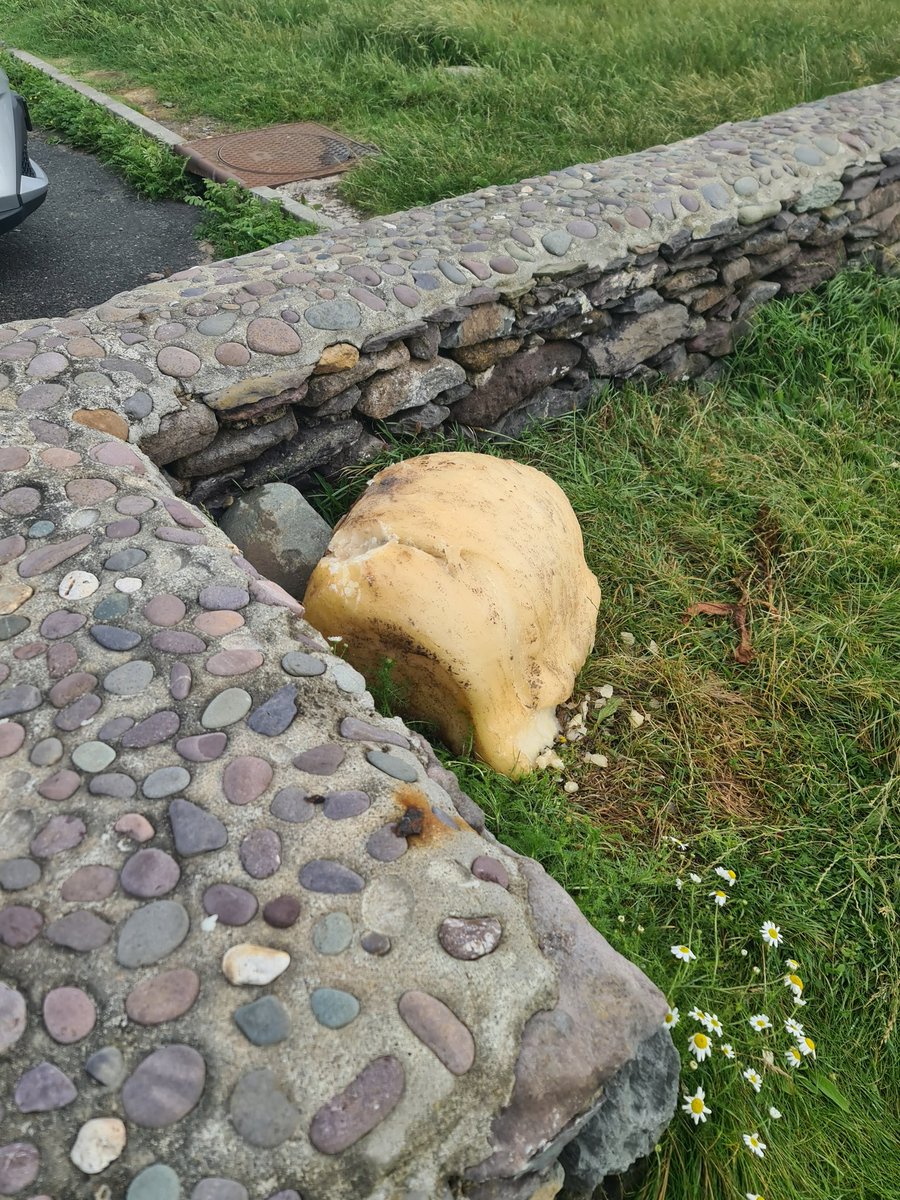 ammustard1's tweet photo. Cad é seo ar Thrá Chlochar? @SlaineNi 
#Farraigefìán #cosuilleblocsaill https://t.co/ZiEGrjEwUT