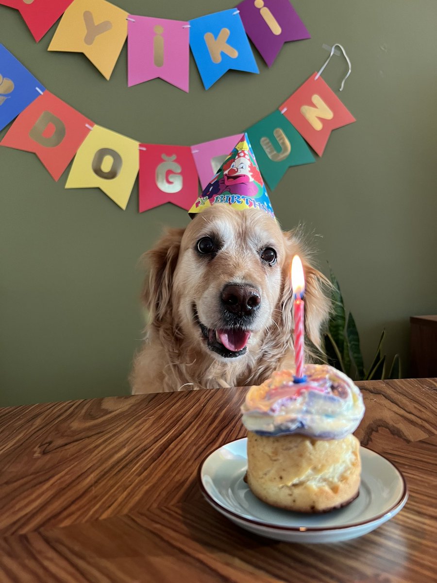 TheQueldin's tweet photo. İyi ki doğdun canımız prensesimiz biriciğimiz dostumuz arkadaşımız evladımız çiçeğimiz herbişeyimiz Çakıl’ımız🥳❤️🎂🌸 #çakıl10yaşında https://t.co/FTifSjTPi8