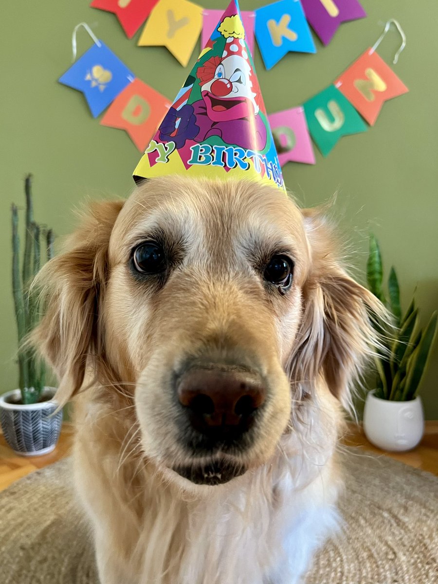 TheQueldin's tweet photo. İyi ki doğdun canımız prensesimiz biriciğimiz dostumuz arkadaşımız evladımız çiçeğimiz herbişeyimiz Çakıl’ımız🥳❤️🎂🌸 #çakıl10yaşında https://t.co/FTifSjTPi8