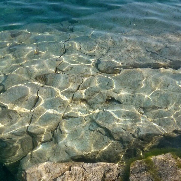 softdeIicacy's tweet photo. under the sea. https://t.co/hXUVt0d2iv