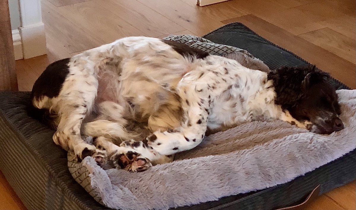 techmeerkat's tweet photo. It’s been another exhausting week ….. for some ! https://t.co/wJ7Y5QYqmb