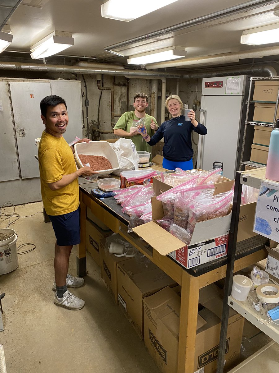 Jodi Letham tweet media