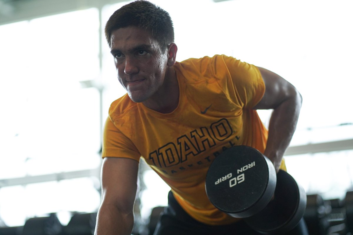 Idaho Basketball tweet media