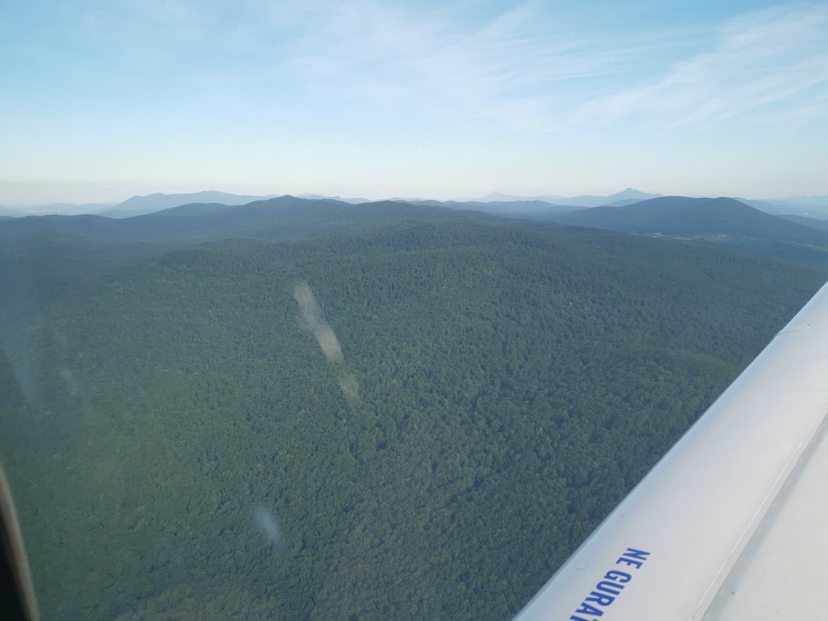 SOSIntel's tweet image. #OSINTChallenge 🛩️
🕵️