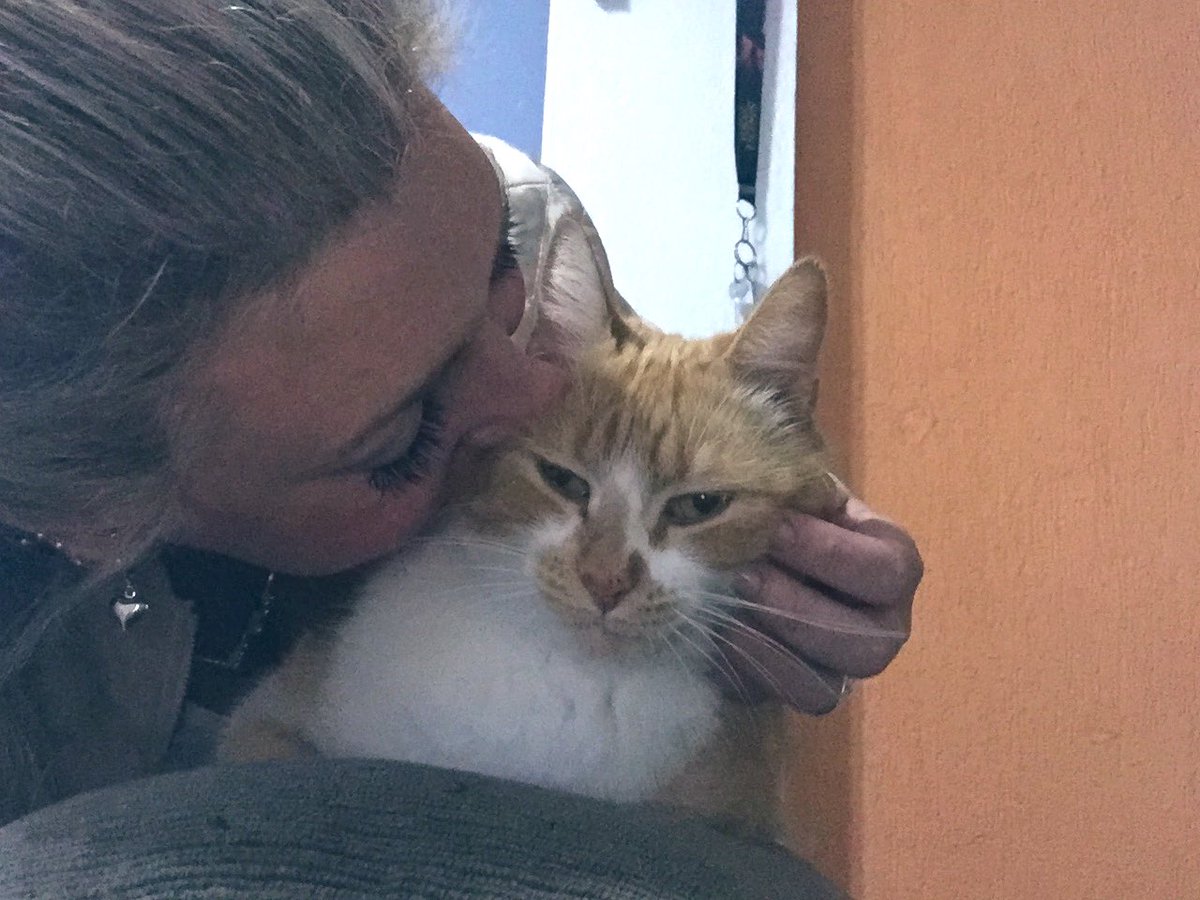 Príncipe 🧡