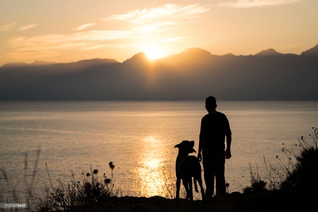 Sleep tight Universal Analytics. We sure got up to some stuff.