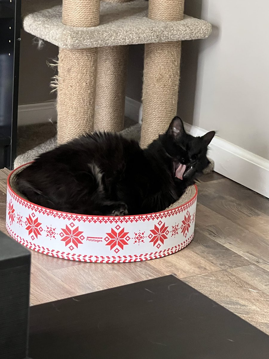 Baba Slaga tweet media