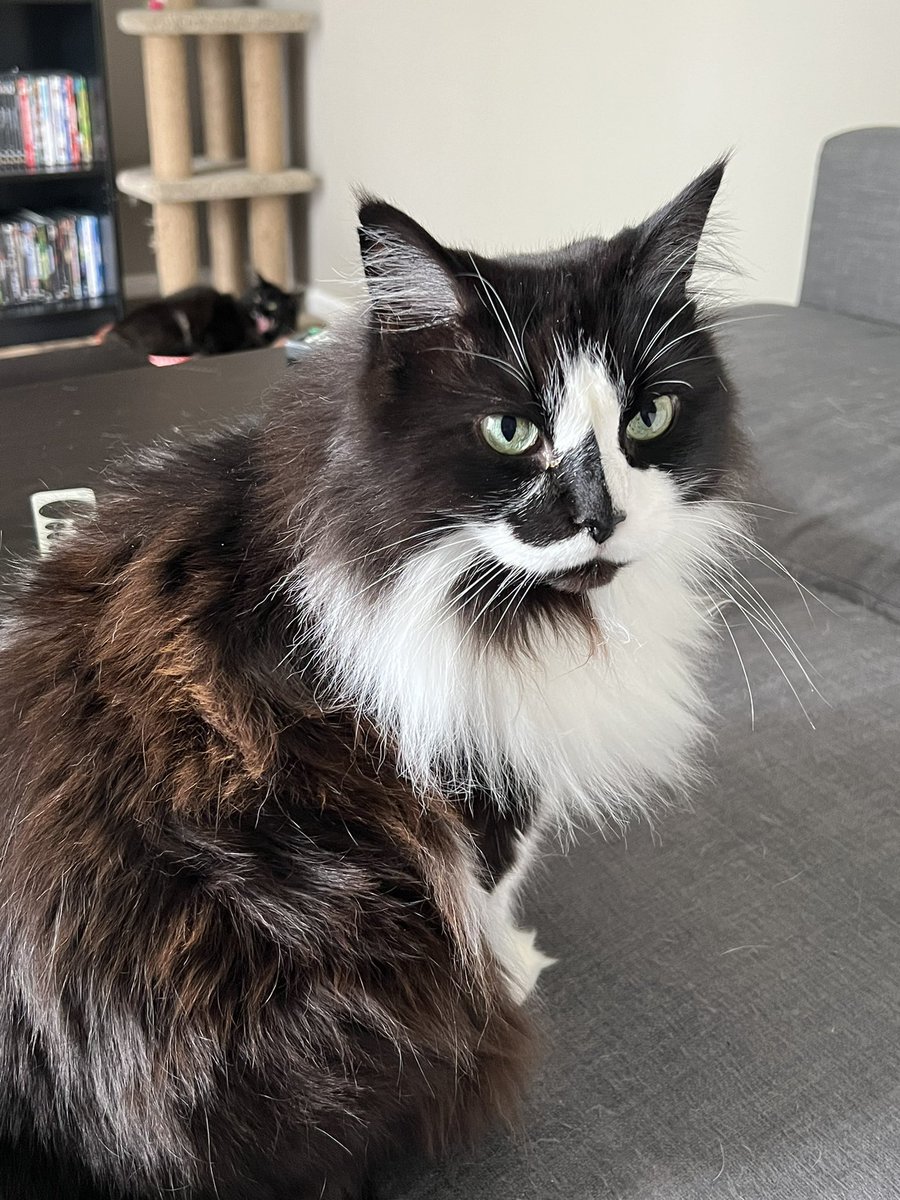 Baba Slaga tweet media