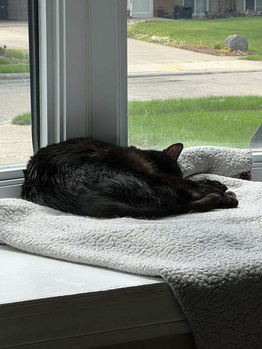 Baba Slaga tweet media