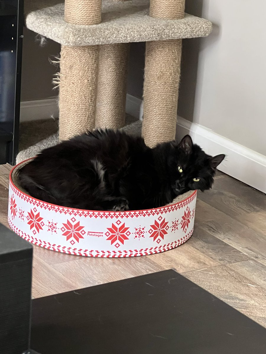 Baba Slaga tweet media