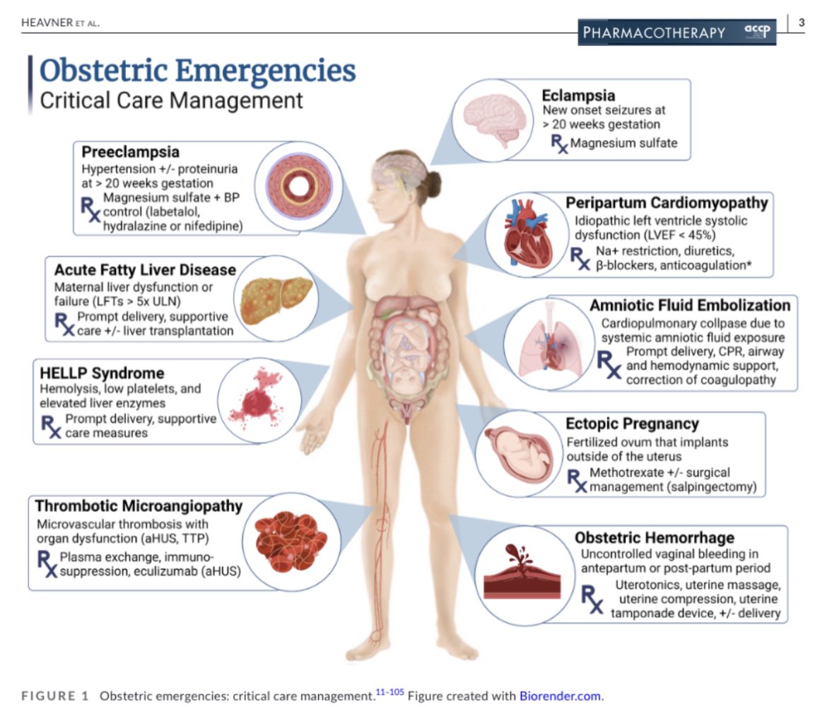 Lo mejor que leerán hoy!

Todos los medicamentos útiles en las Emergencias Obstétricas 🤰🩸 

Enf hipertensivas 
Hemorragia 
Alteraciones de la placenta
Miocardiopatia periparto
Embarazo ectópico
Etc

Descarga: accpjournals.onlinelibrary.wiley.com/doi/epdf/10.10…