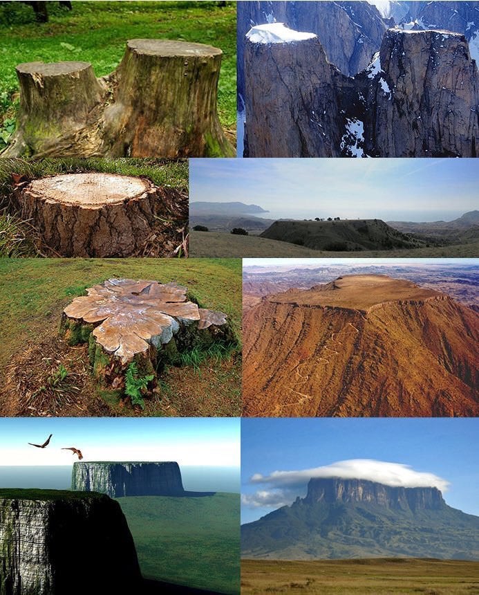 Stephenhunter69's tweet photo. We/animals were all giants back in the day before the flood. Giant trees also. Then God commanded the Angels to labor at the trees before the flood - book of enoch verse 66. All those "mountains" called "plateaus" that are flat on top used to be trees, that were cut down. https://t.co/PdfFwVabLZ