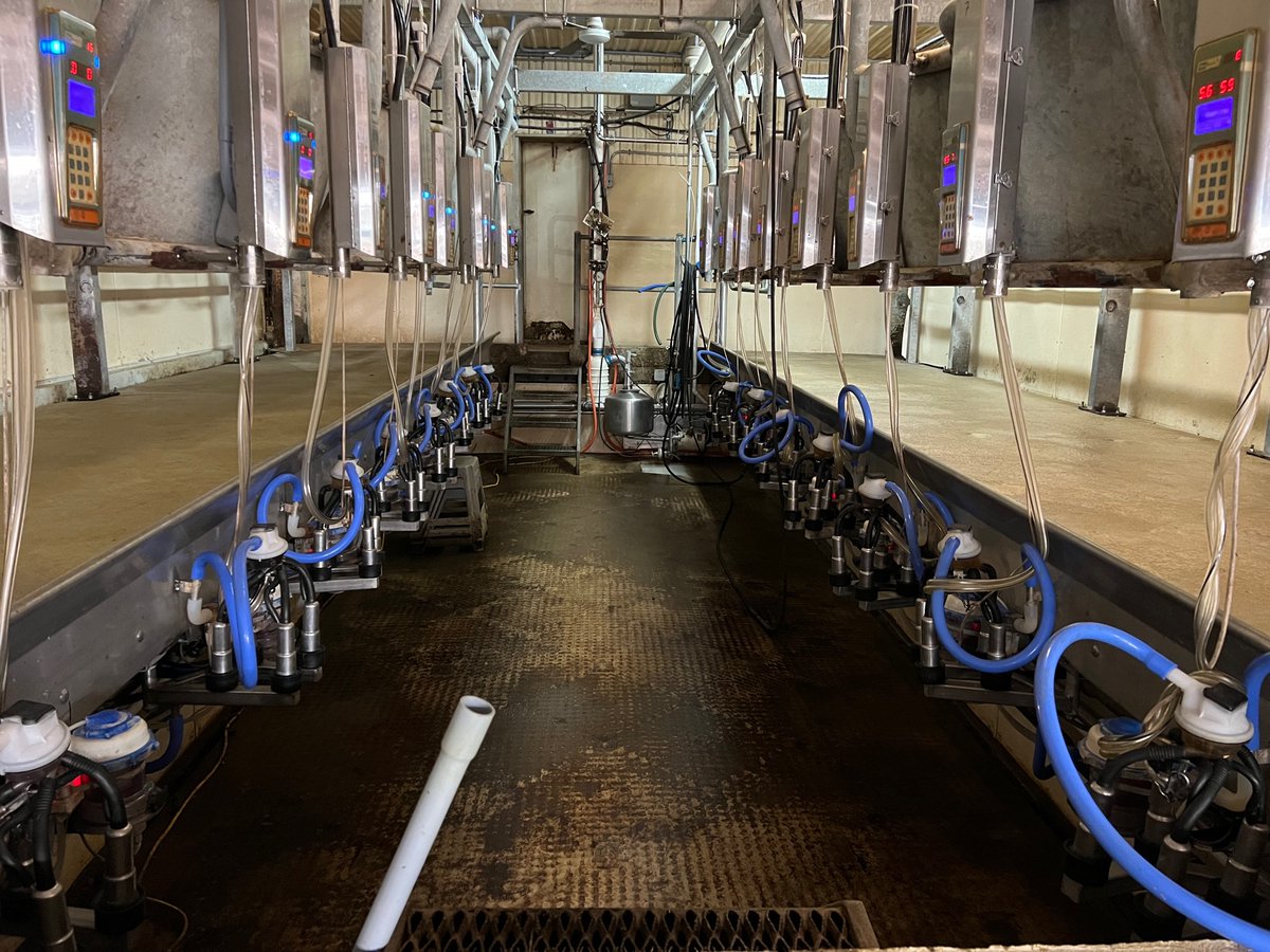 DortmansB's tweet photo. Fully Functional Friday! 😆This used double 8 parabone parlour installation with @BouMatic milk metering, pulsators and Flo-Star MAX milking units is now complete, just in time for the long weekend.🇨🇦 Enjoy. 🐮
#dortmansbros #BouMatic #flowstarmax #dairyfarming #ontag https://t.co/7qYriBcMhR