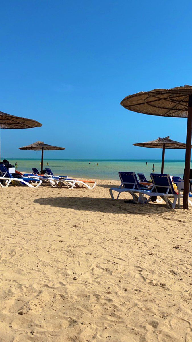 D_3ttb's tweet photo. عشوائيات اليوم🦩:• https://t.co/MnPKrj0QW5
