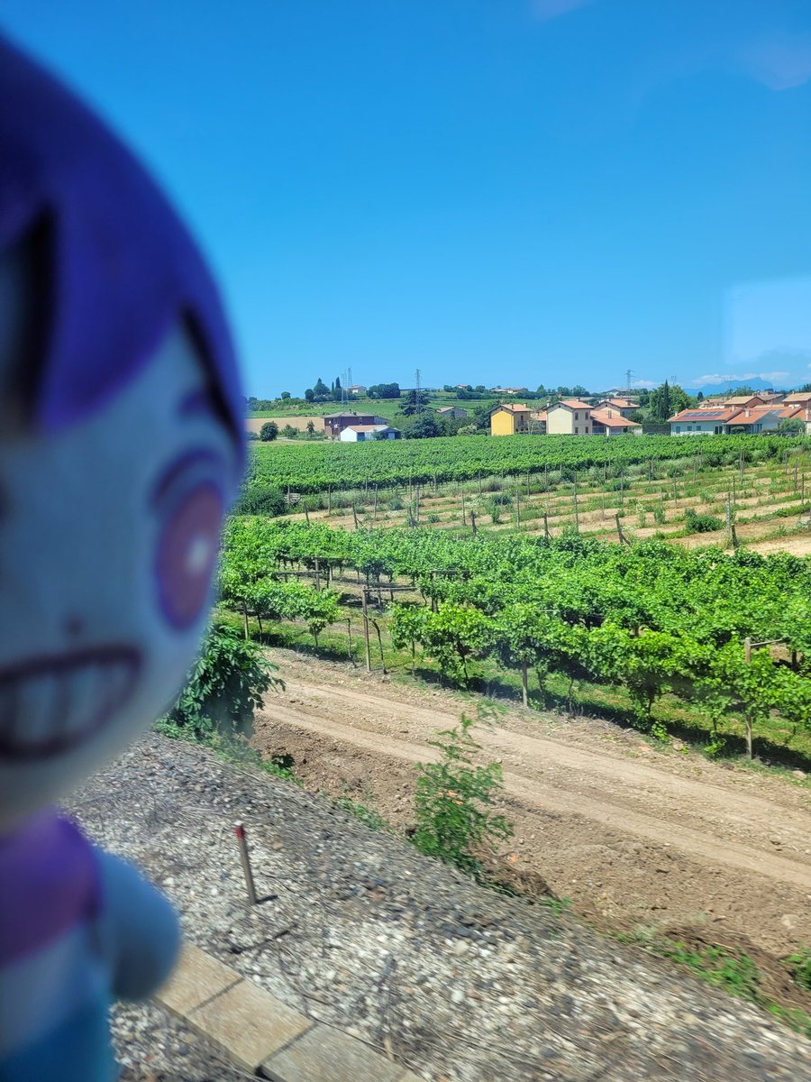 ghostkips's tweet photo. he's a travellin'
also sorry btw for lack of posts, ive been on vacation! https://t.co/rbDG6WQkXV
