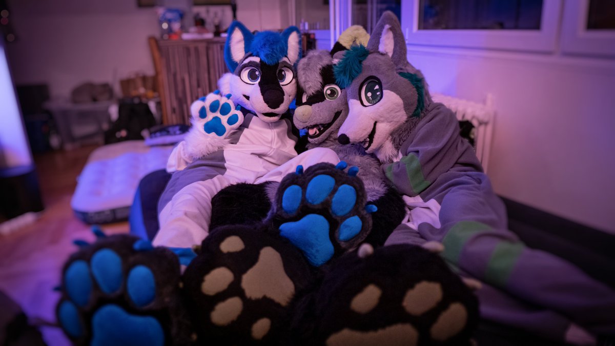 So yeah, I got new paws! 🐾 With beans and extra dangerous claws! 😁

Want to inspect them closer on #Cesfur? 👀

With <a href="/HasStTer/">HastTer</a> and <a href="/FolfMatt/">matt_folf</a>, celebrating their birthday 🎉 with some #FursuitFriday snugs.

📷 <a href="/RapidtheHusky/">Rapid ➡️ Česfur</a>