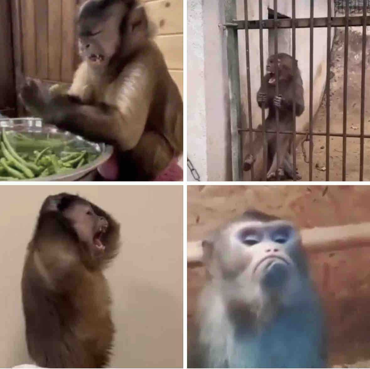 “No creo que el calor te ponga de mal humor”
 Yo: