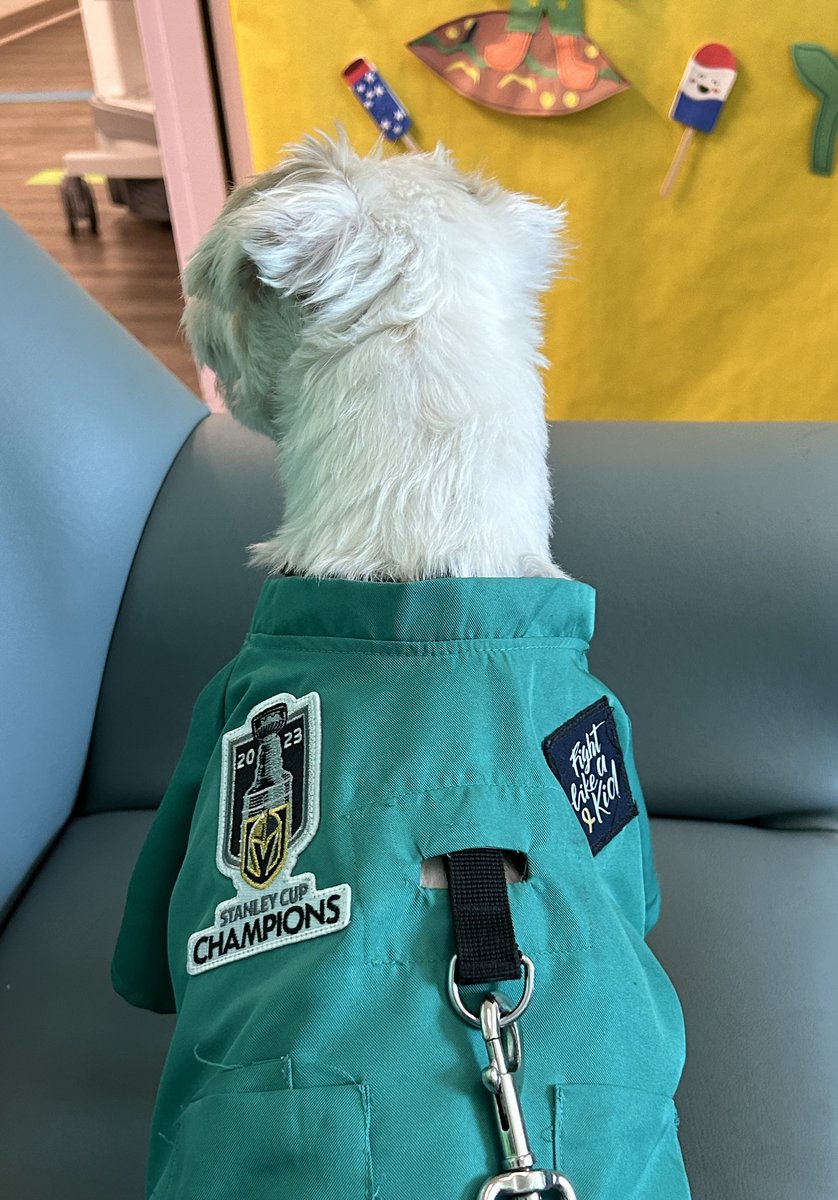 Deke here!
Today on my rounds at Summerlin Hospital I met up with coworkers to show off the new patch I added to my scrubs! 
Stanley Cup Champions!
~ Deke🐾
#TherapyDog
#IAmATherapyDog❤️
#PawYouNeedIsLove
#StanleyCupChampions