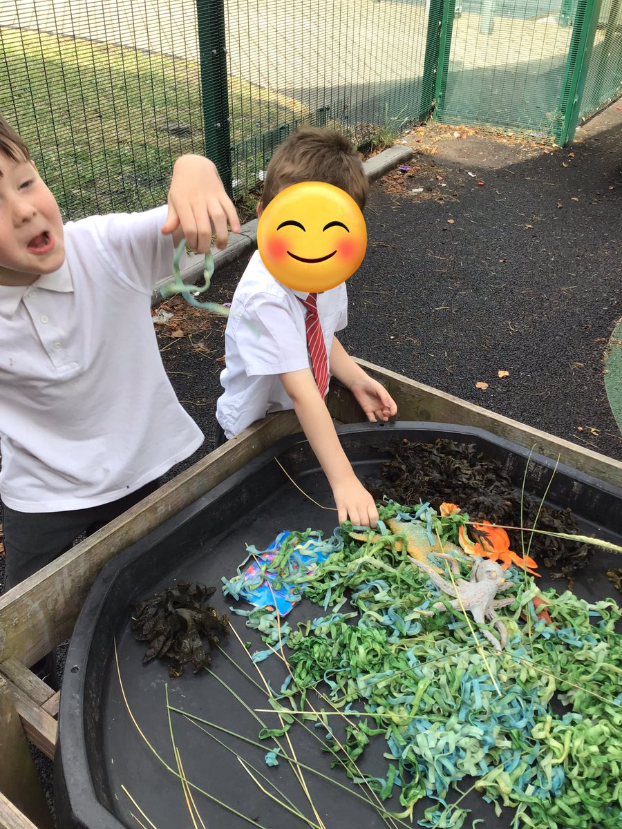 Reception_LM's tweet photo. We love to explore each day… 🌊 🐙 🦀 🐚 #EYFS #LanguageDevelopment https://t.co/EPQxVAtcjM