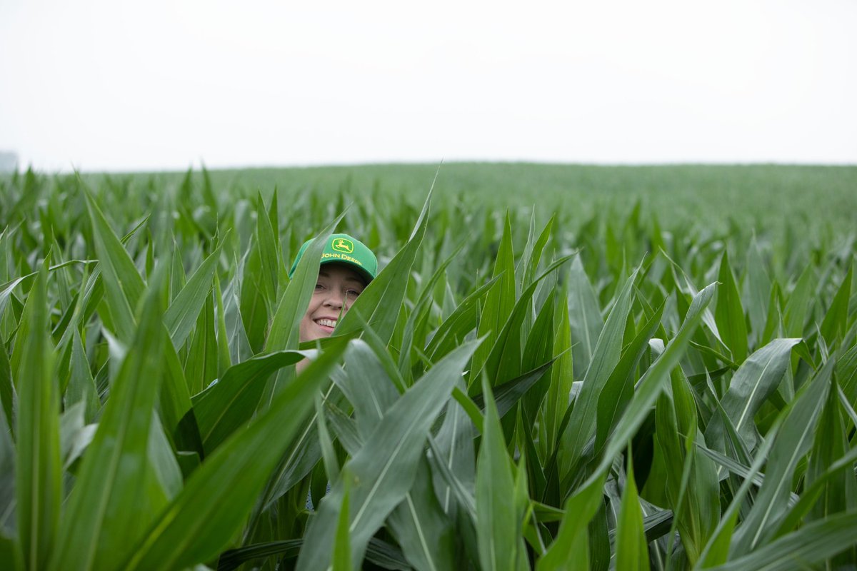 midwestern_ope tweet picture