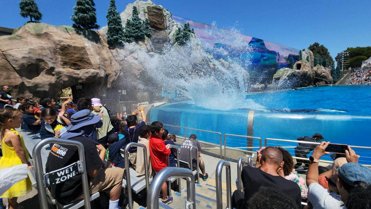 Wow! What a perfect way to end the week!! Students are having a blast at Sea World as part of our “Under the Sea” Summer Expanded Learning Program!💦 ☀️🐬