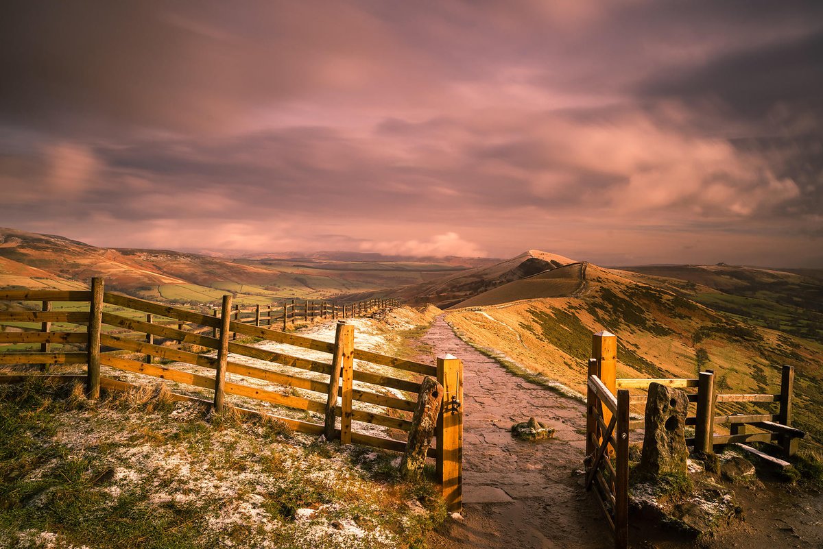 Tracy Hogan tweet media