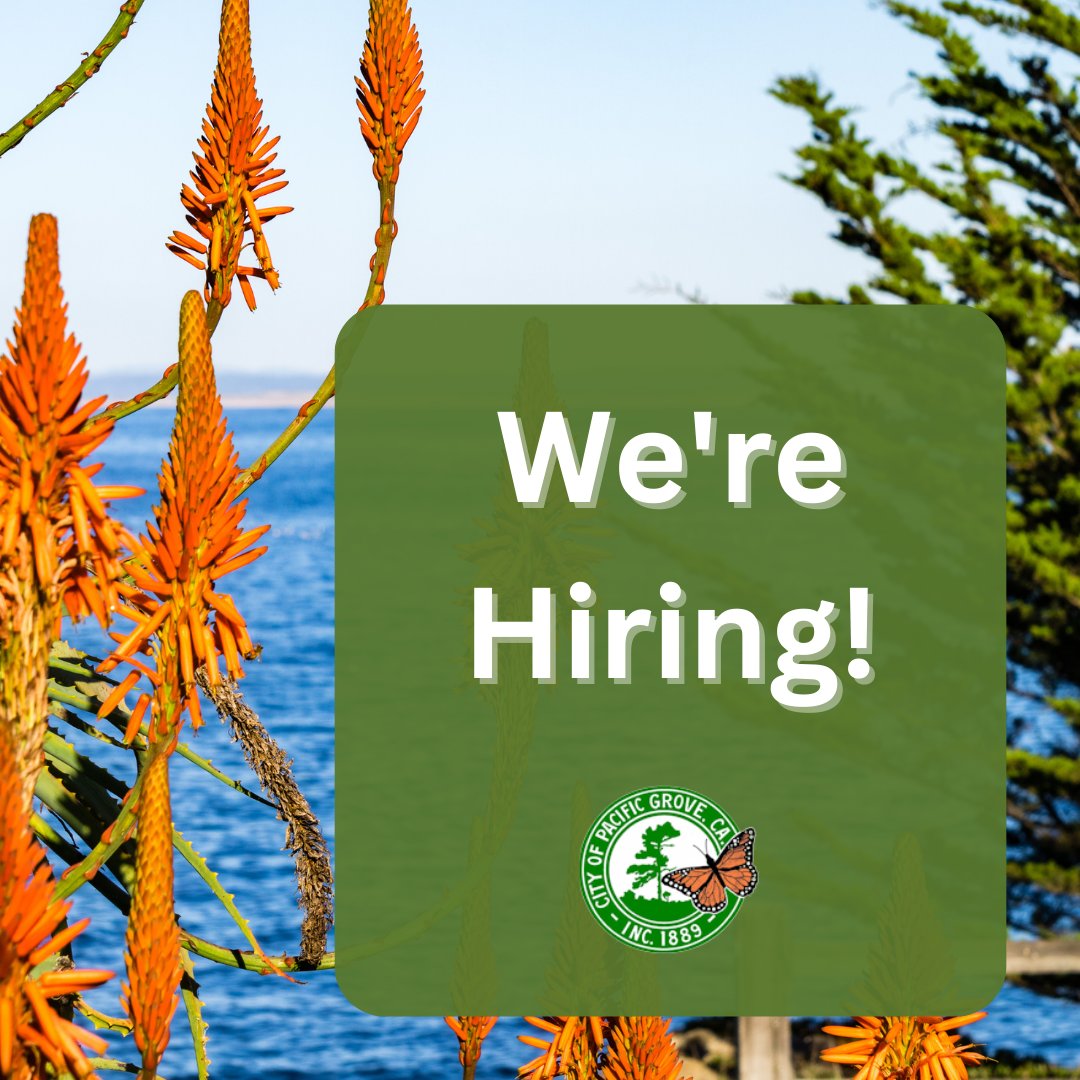 The City of Pacific Grove is hiring, come join our team!

🧾 Finance Management Analyst
🧑‍💻 IT Management Analyst
💡Management Analyst (Confidential)
🌊 Lighthouse Docent Coordinator

To view the job postings and apply for a position, click on this link: bit.ly/3Orff55